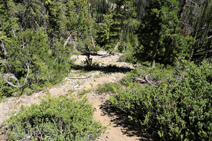 A picture of the trail above Bridal Veil Falls.