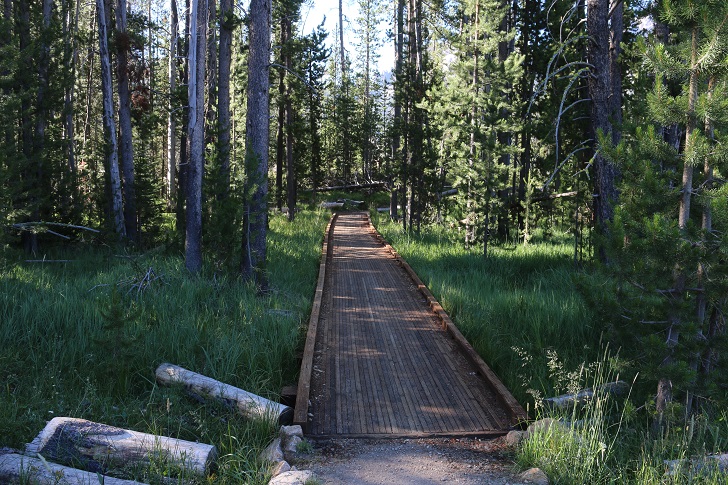 This is a picture of the trail from Stanley Lake Trailhead to where it connects to the Idaho Centennial Trail on Stanley Lake Creek.