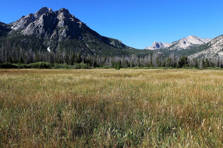 A picture of the meadows along the Idaho Centennial Trail with Mount McGowen in the background.