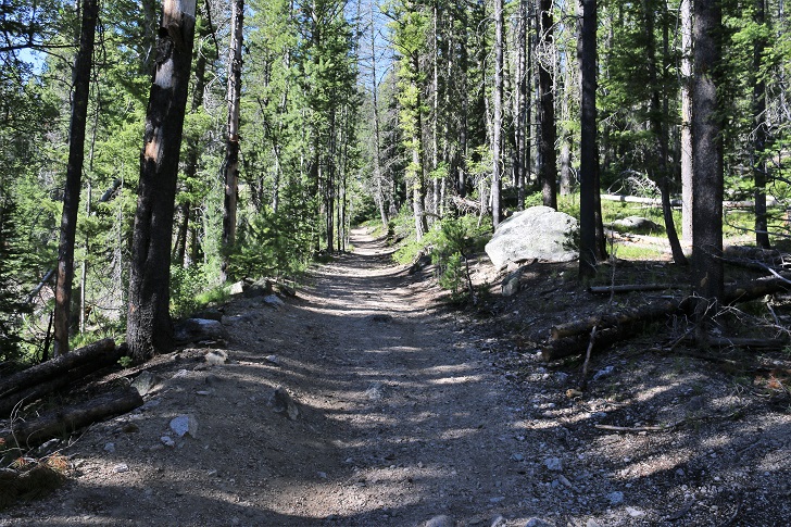 A picture of the Idaho Centennial Trail along Stanley Lake Creek near Lady Face Falls.
