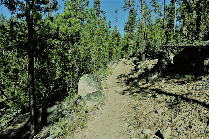 A picture of trail 97 to Hell Roaring Lake.