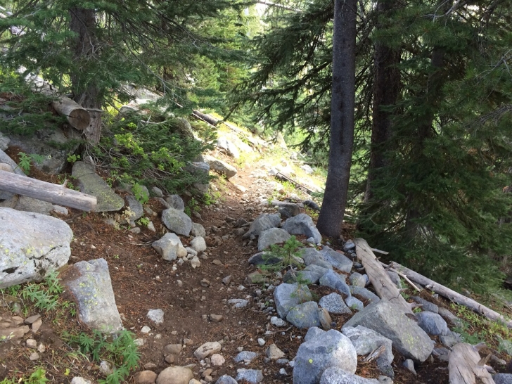 A picture of the trail to Hidden Lake.