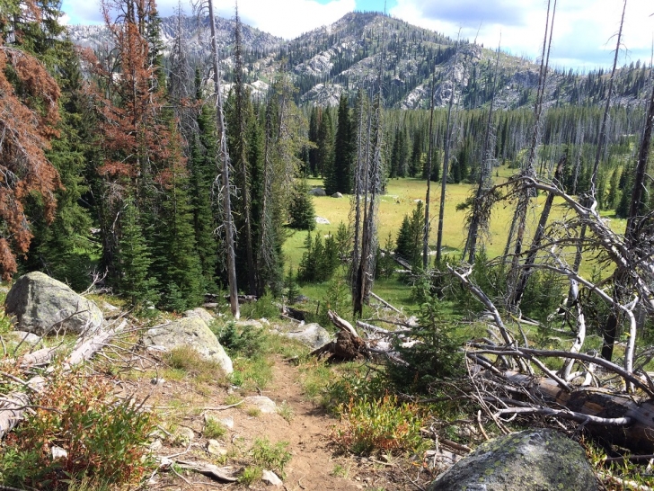 A picture of the meadows near Hidden Lake.