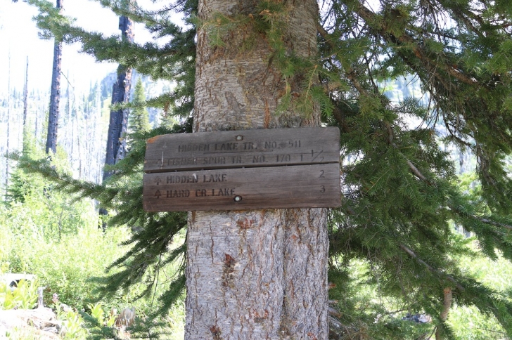 A picture of the sign at the junction in the trails, left to Hard Creek Lake and right to Hidden Lake.