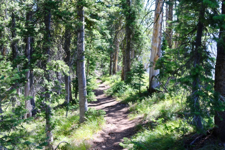 the alpine way trail