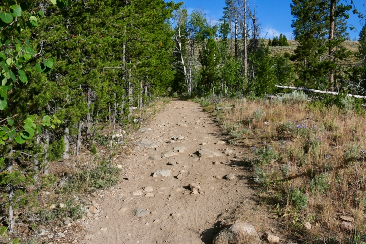 A picture of the first segment of the trail going from Redfish Trailhead.