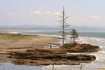 picture of people playing on the shore in Oregon