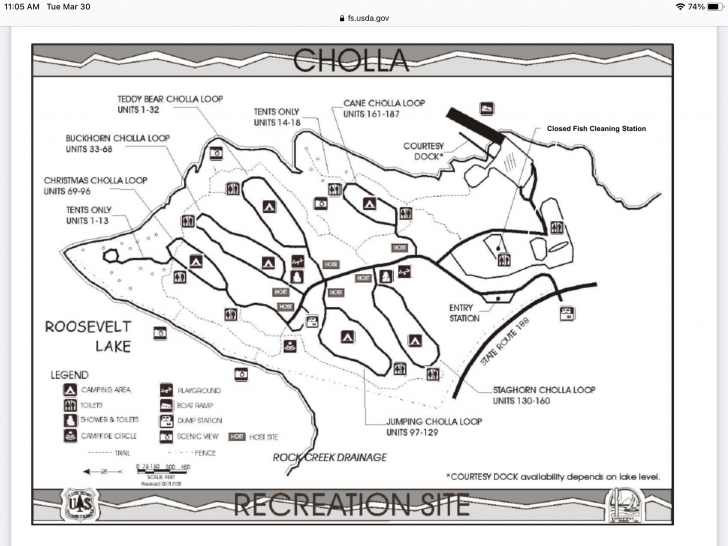 Camping at Cholla Campground - Arizona