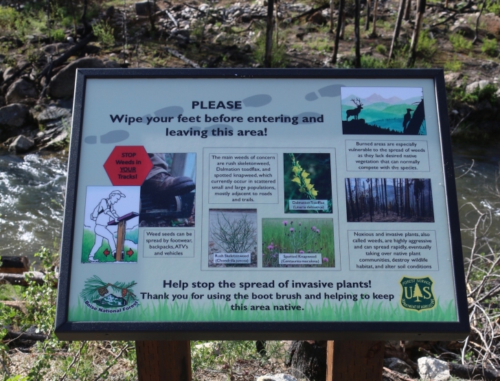 Help stop the spread of weeds.