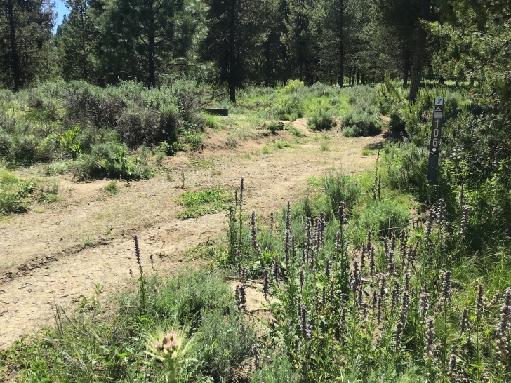 Camping in Idaho at Horsethief Reservoir Campground.