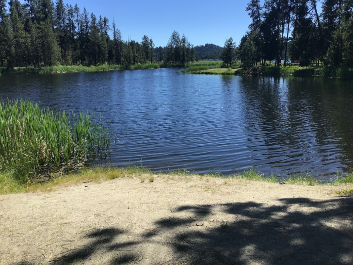 Just across the road from campsite 12 is this small beach to access the lake for fishing.
