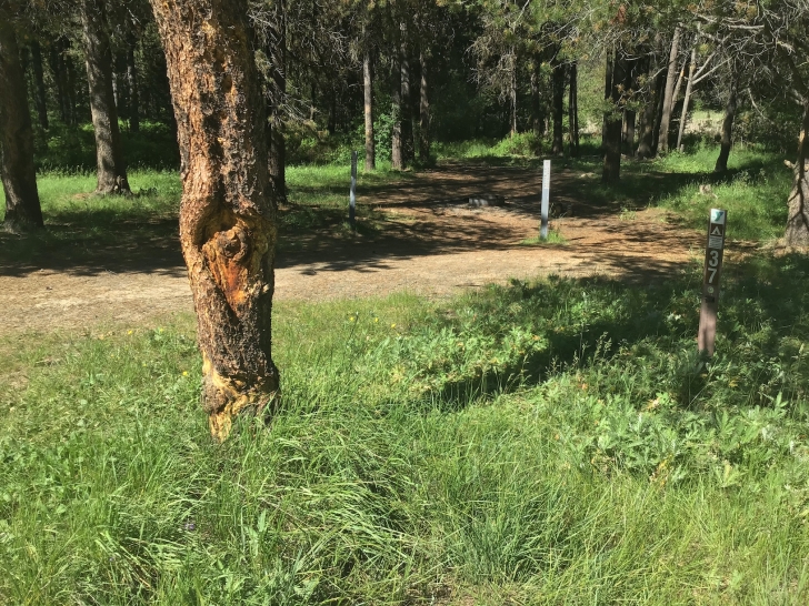 Osprey Bay loop in Horsethief Reservoir Campground