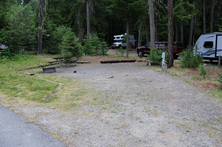 Campsite 31 is handicap equipped.