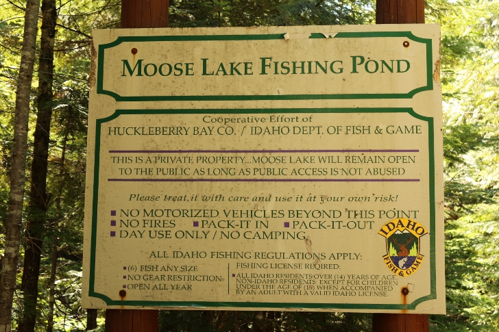 We found Moose Lake Fishing Pond a short distance from Indian Creek Campground.