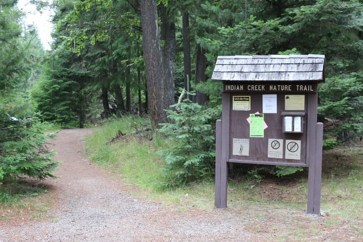 You will find the entrance to Indian Creek Nature Trail near the picnic area.