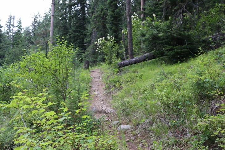 This is the trail as it climbs above the road.