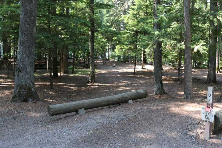 Campsite 107