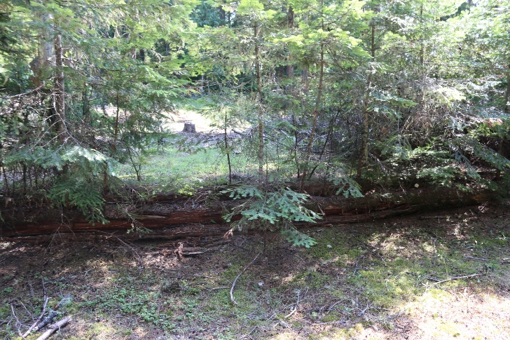 You can still see the remains of the Lionhead Lodge.