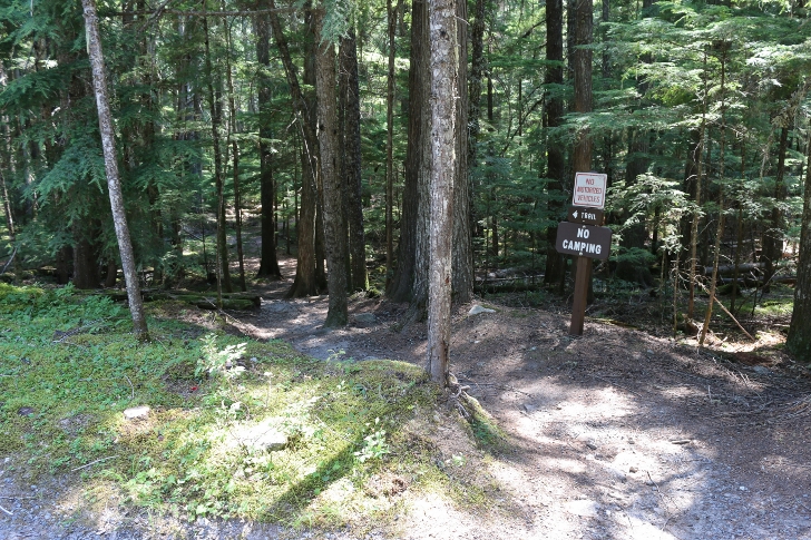 There is a trail running along the lake and here we see it as it crosses the road to the boat launch.