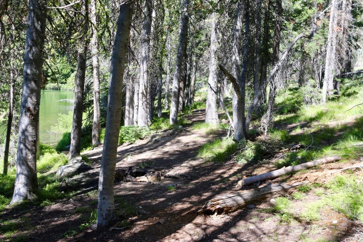 One of the campsites at Marshall Lake.