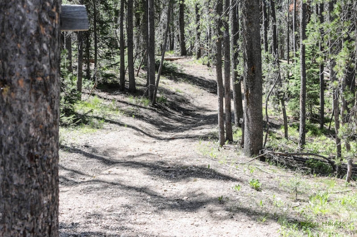 Warm Springs Trail #147 near Bull Trout Lake