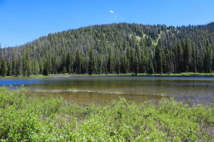 Warm Springs Trail #147 near Bull Trout Lake